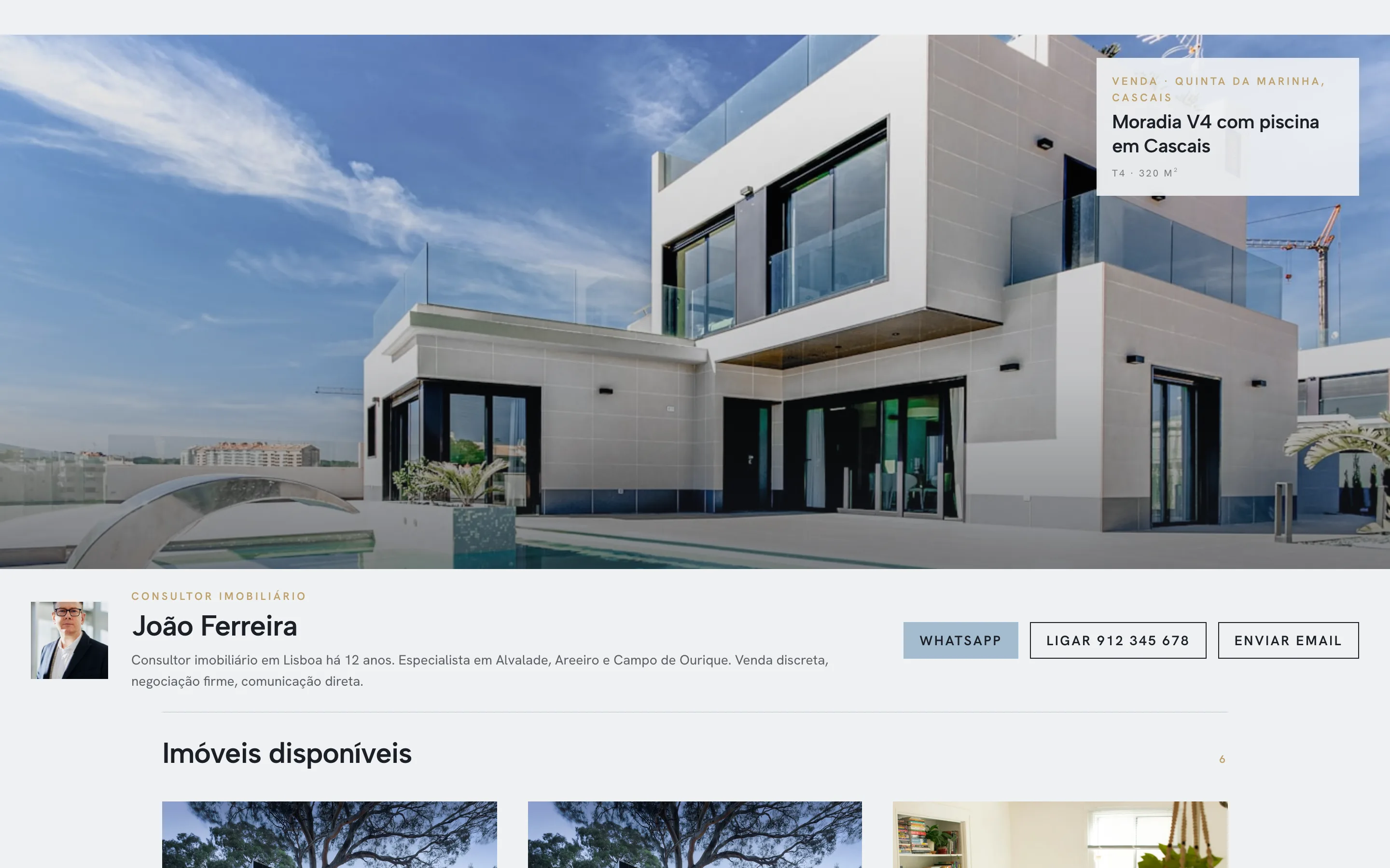Exemplo de site de consultor, visual Capa
