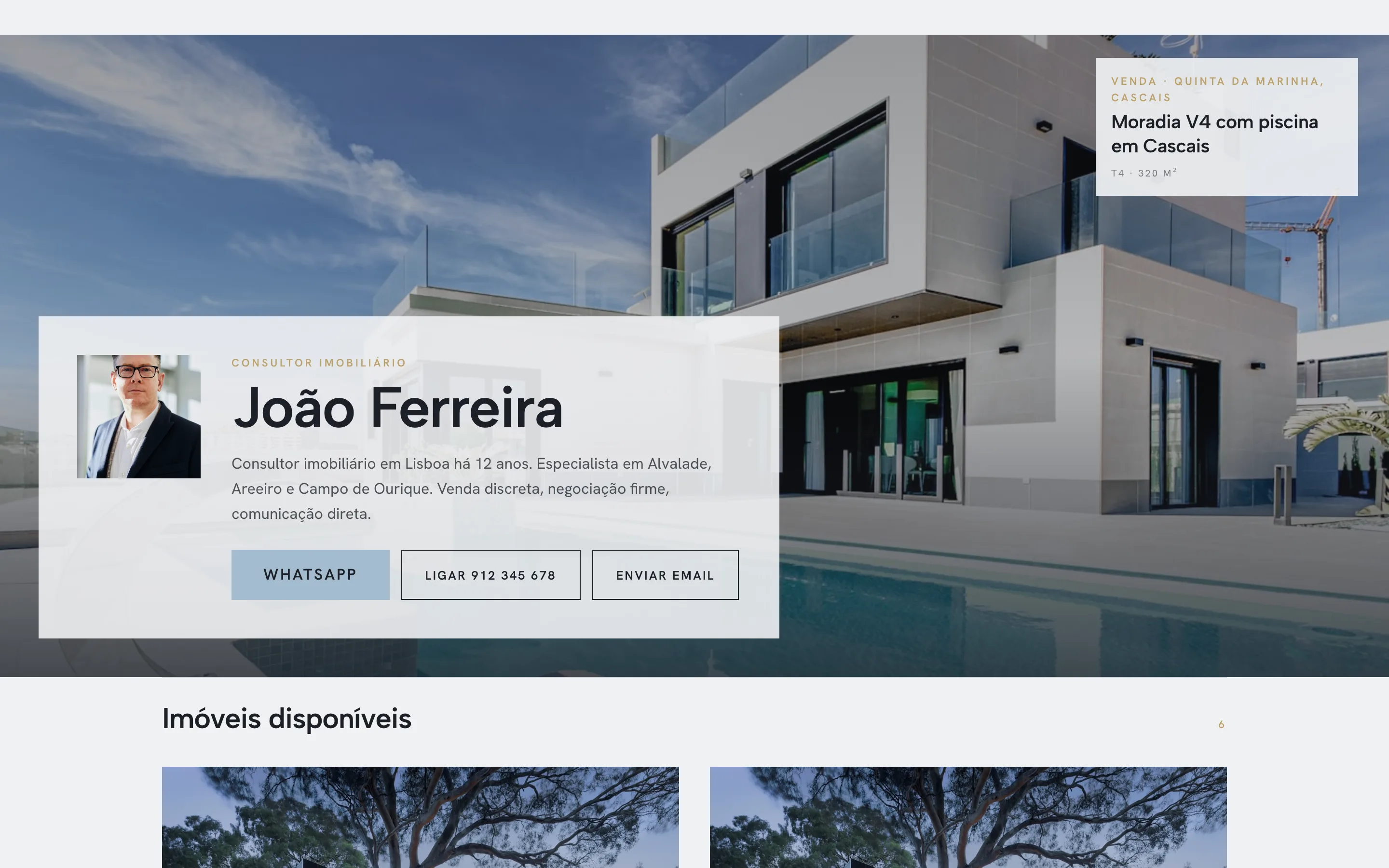 Exemplo de site de consultor, visual Moldura