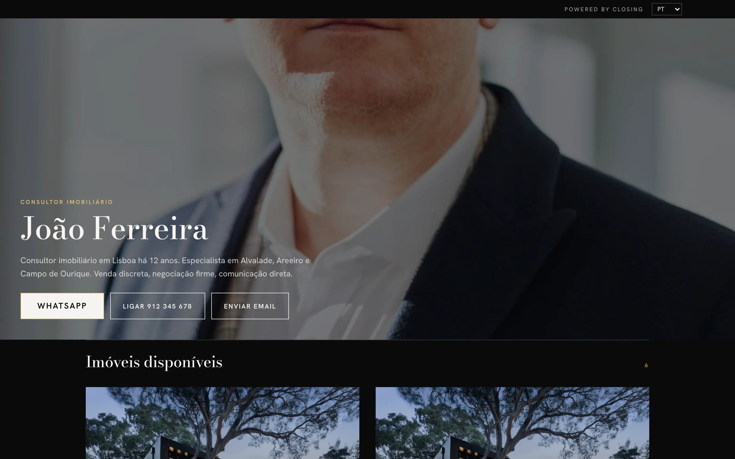 Exemplo de site de consultor, visual Retrato