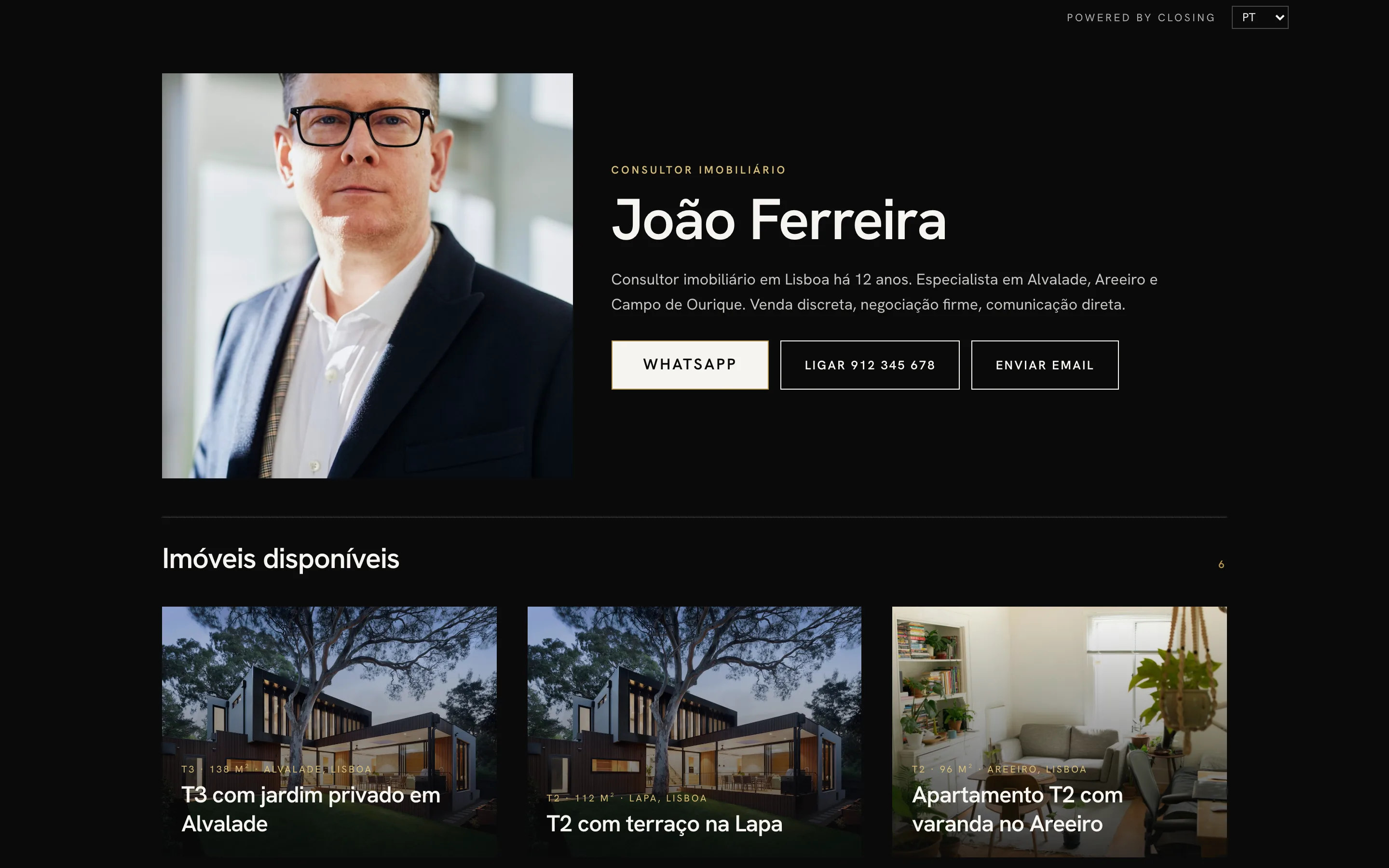Exemplo de site de consultor, visual Câmara