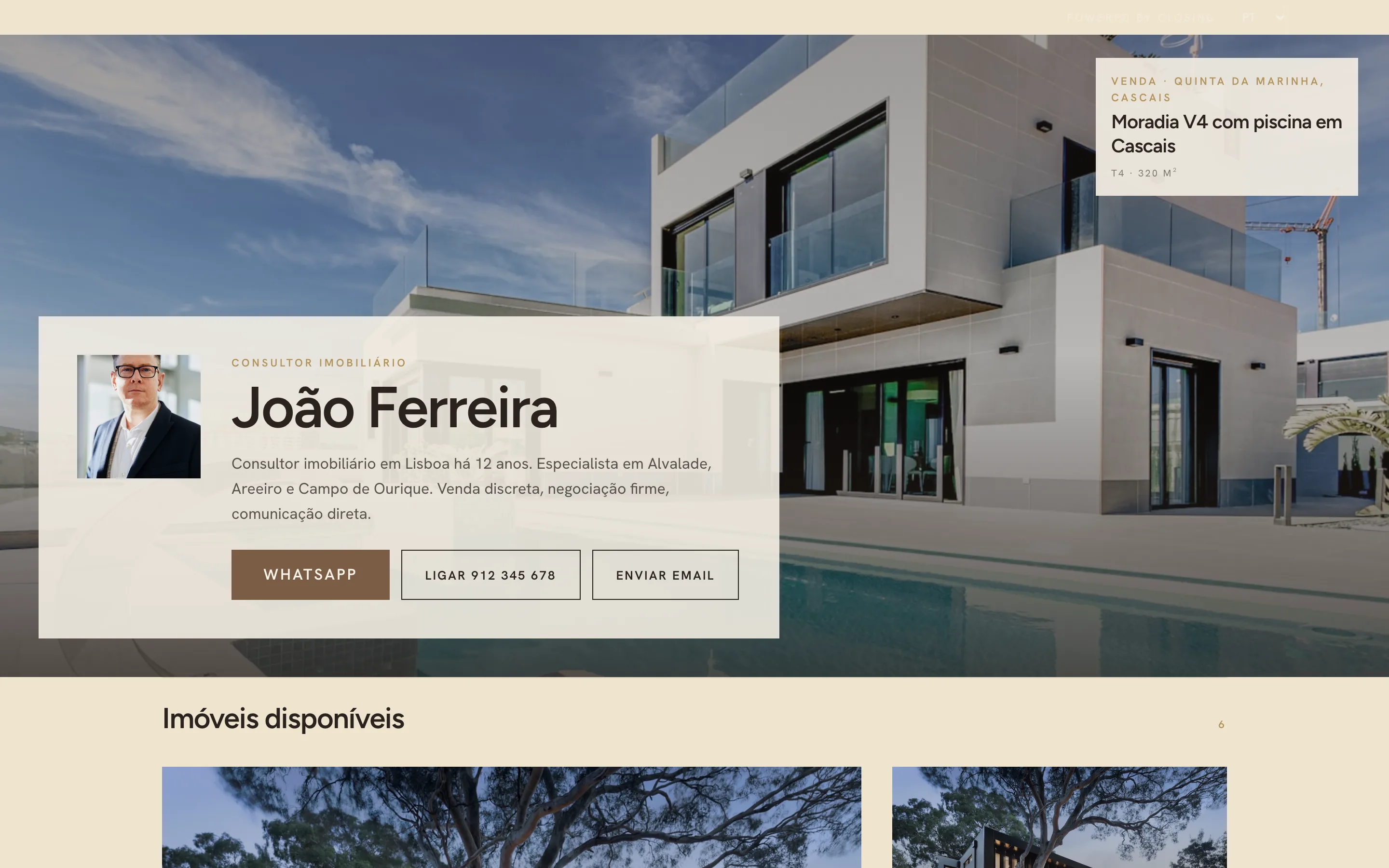 Exemplo de site de consultor, visual Cinema